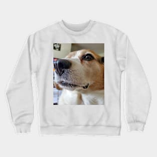 The Presidential Beagle Crewneck Sweatshirt